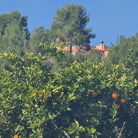 Chateau Angelique Guest House Valencia Luaran gambar